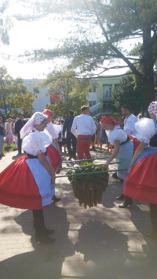 منزل الضيف Moravská Nová Ves  في Za Vodou المظهر الخارجي الصورة
